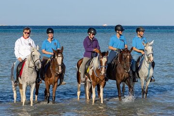 Horseback Riding Tour with Dinner from Hurghada