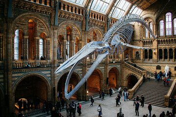 London: Natural History Museum Reserved Entry Ticket & Audio Tour