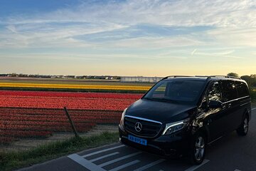 Amsterdam to Keukenhof Gardens Private Transfer by Luxury Minivan