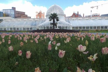 A Unique Belfast Walking Experience