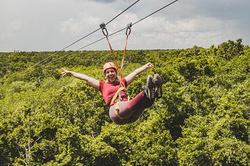 Turtles and Jungle Adventure