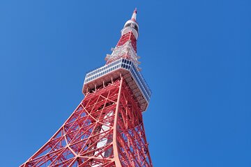 Tokyo Tower Tour Top Deck Views of Shinjuku and Mt. Fuji
