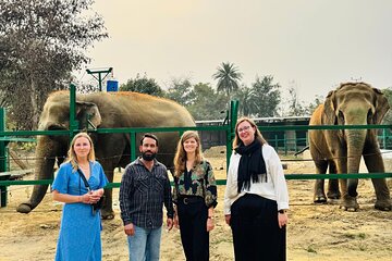 Taj Mahal & Wildlife SOS Elephant Sanctuary Tour from Delhi/Agra