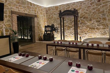 Oil tasting in Sierra Norte de Madrid