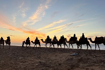 Half-Day Quad Bike and Camel Ride Adventure With BBQ