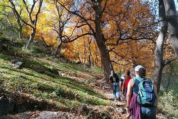 From Marrakech Atlas Mountains Waterfall Full Day Trip with Lunch