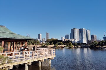 Hama Rikyu Private Tokyo Walking Experience