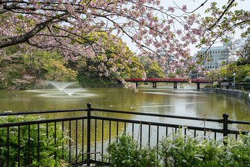 Tennoji Ward, Shinsekai 3 hours Walking Tour