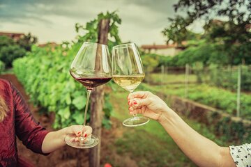 Private Luxury Tour: Ancient Nemea & Top Wine Tasting Experience
