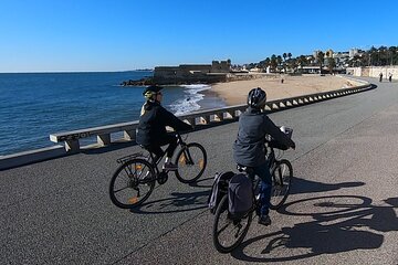 Tagus River Heritage and Traditional Lunch Bicycle Tour
