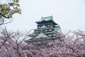 Osaka Castle 3 Hours Historical Walking Tour