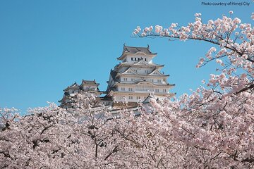 Himeji Castle and Akashi Kaikyo Bridge Walking Tour from Osaka