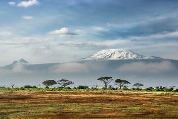 Mount Kilimanjaro 5-Day Guided Hike Marangu Route