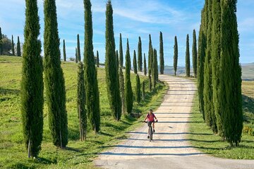 Chianti Hills E-Bike Tour with Tuscan Lunch & Two Wine Tastings