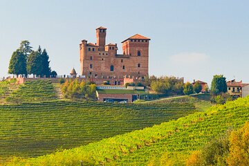Langhe Region, Piedmont Castle & Barolo Wine Day Trip from Milan