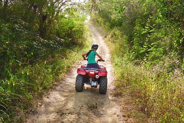  Wildlife Encounter in Cartagena Villanueva by ATV