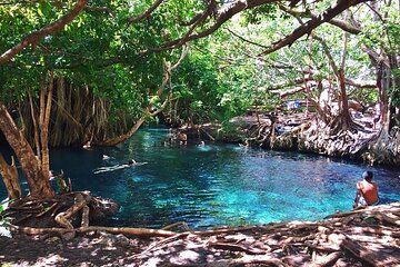 Moshi Tours: The Best Chemka Hot Spring Half Day Trip From Moshi