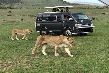 Nairobi National Park, Karen Blixen, Cultural Dance Show & Dinner