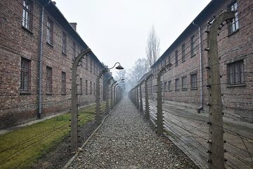Krakow Auschwitz Birkenau Day Trip with Tour Leader