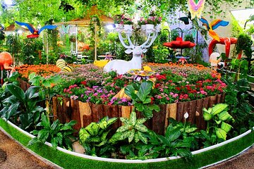 Dubai Butterfly Garden Entry Ticket Explore 15000 Butterflies