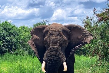  Kigali to Kayonza Akagera National Park 4WD Tour