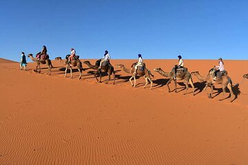 4-Day Sahara & Palm Oasis Adventure: Marrakech to Merzouga