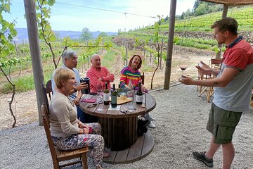 Wine Class Portugal wines in a small farm with a visit to the winery