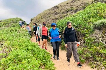 Costal Hiking Sacramento Trail Port Elizabeth 