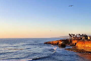 San Diego Private Highlights Tour with Daily Chauffeur