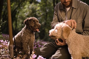 Truffle Hunting, Lunch and Fine Wine in Rome