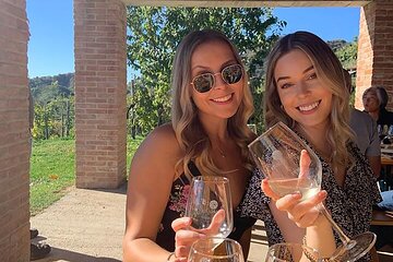 Full Day Prosecco Wine Tasting at Two Wineries from Venice