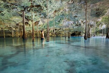 Private Cenote Experience, swim in the heart of the Mayan Jungle