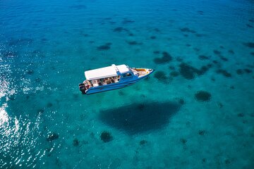 Daymaniyat Island Snorkelling 