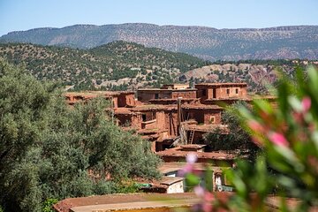 Full Day To Discover Ouirgane A Scenic Escape from Marrakech