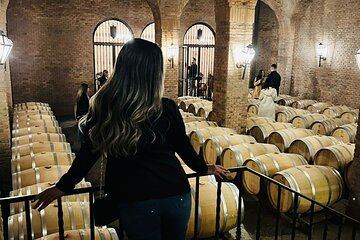 1 Day Tour of Viña Concha y Toro from Santiago