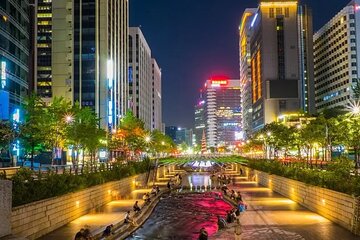 Fantastic Small Group Seoul Night Tour