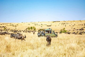 7-Day Safari Tour in Tanzania