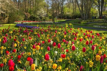 Day Tour: Keukenhof and Volendam with Personal Guide and Driver