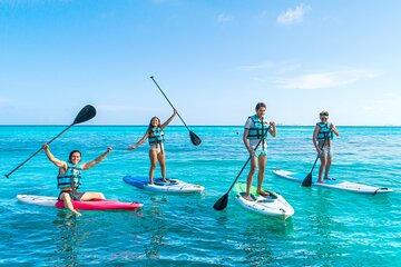 Isla Mujeres Garrafon Park Zipline Kayak Snorkel and Buffet