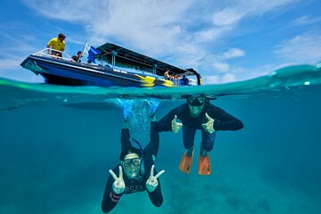 Cairns Snorkel Tour - Mid Morning Departure