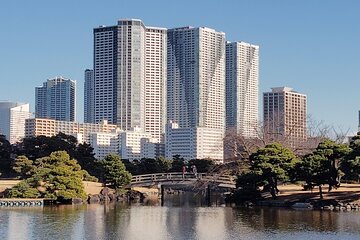  Kyu-Yasuda, Kiyosumi and Hama-Rikyu Tokyo Garden Tour