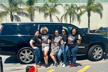 Orlando Intl Airport Private Transfers to Disney Resort Area