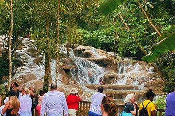 Combo Tour Dunn's River Falls and BlueTour from falmouth