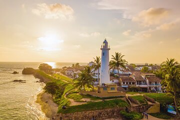 9 Days Sri Lanka Southern Tour. Driver, Vehicle B/B Accomodations