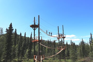 Half-Day Activity Package: Denali Zipline Tour and Brewery Visit