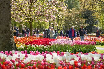 Private Keukenhof, Zaanse Schans, Volendam and Marken with Pickup