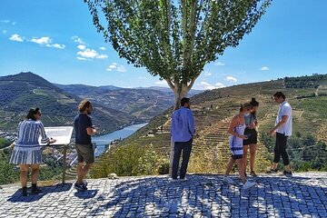 Private Douro Valley Tour Taylor Made