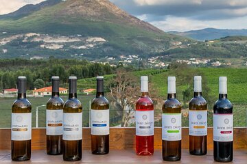 Customized Wine Tasting: Your Choices