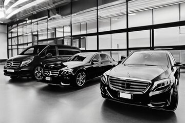 Limousine Service Florence Airport / Hotel - private driver 