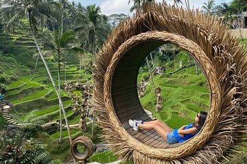 Ubud private Tour : Waterfalls - Monkey Forest and Rice Terrace